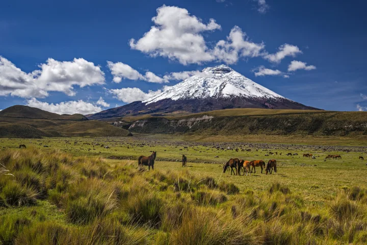 Andentrekking Ecuador & Galápagos