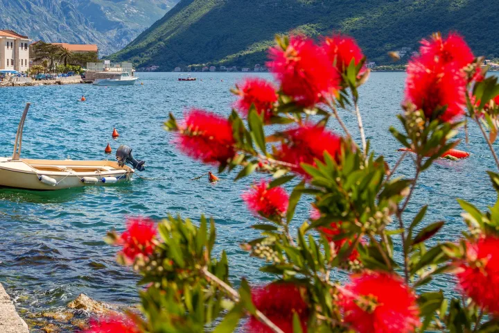 Küstenort mit Booten, Bergen und Blüten im Vordergrund an einem sonnigen Tag.