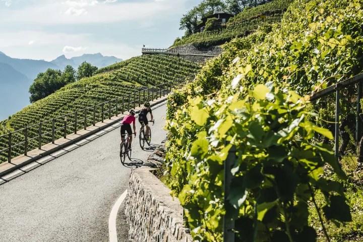 Unterwegs im Lavaux - Individuelle Veloreise Rhône-Route