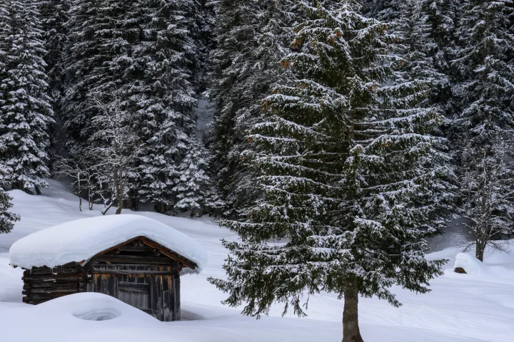 Schneeschuhwandern in St. Antönien