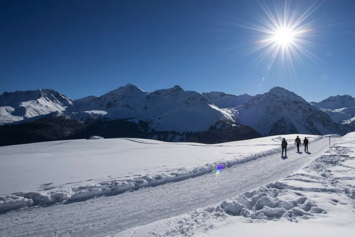 Winterwandern Arosa