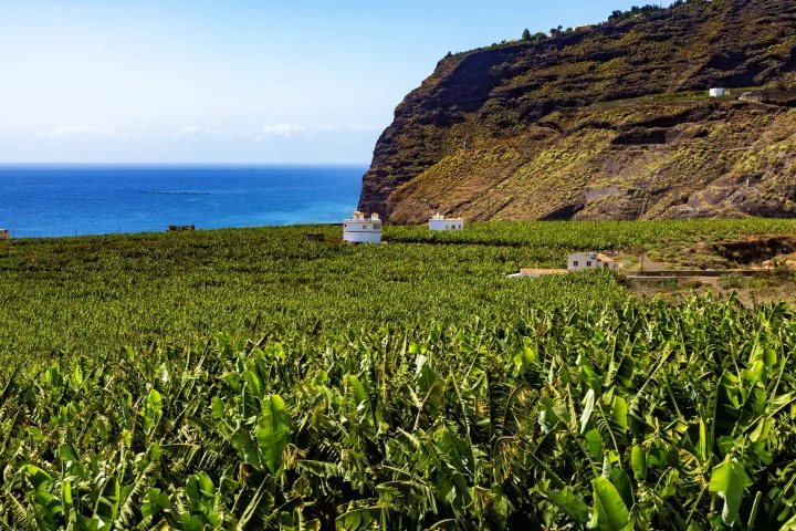 Wandern auf der fruchtbaren Insel La Palma, Kanarische Inseln, Spanien