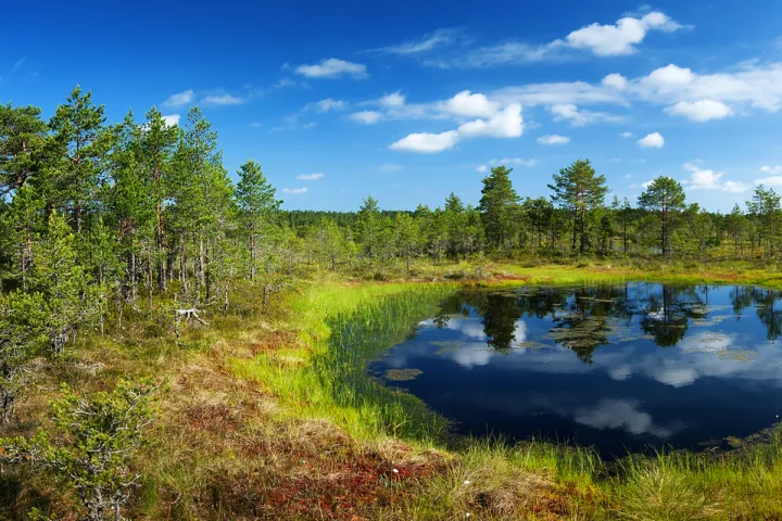 Unterwegs in einsamen Wäldern und auf idyllischen Inseln, umgeben von Geschichten