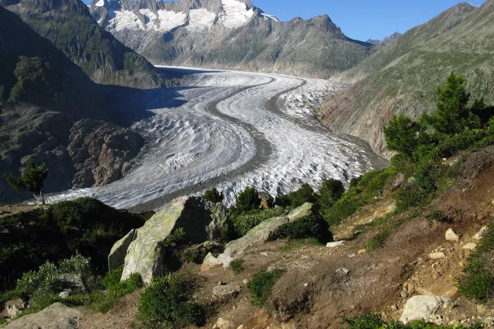 Individuelle Wanderreise Aletsch Panoramaweg