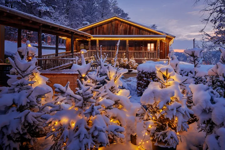 ZÜRICHBERG: Texte zum Jahresende