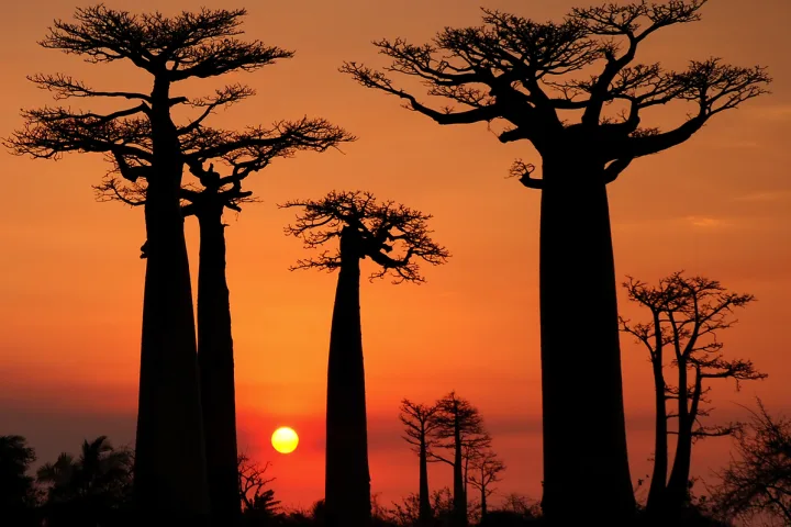 Wanderreise Madagaskar