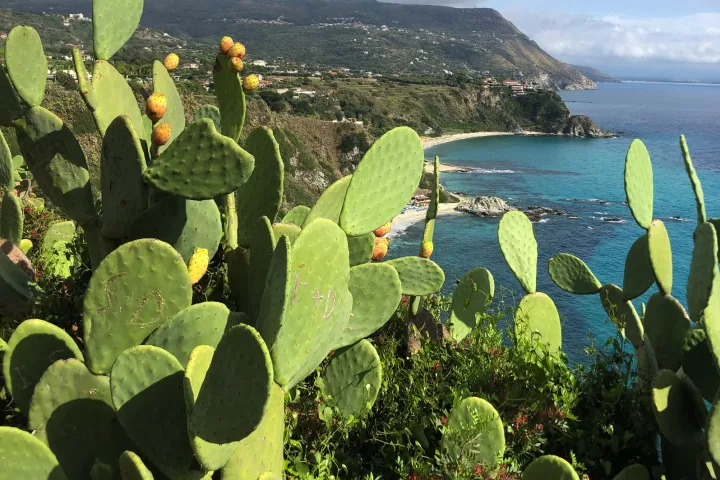 Wanderreise Kalabrien