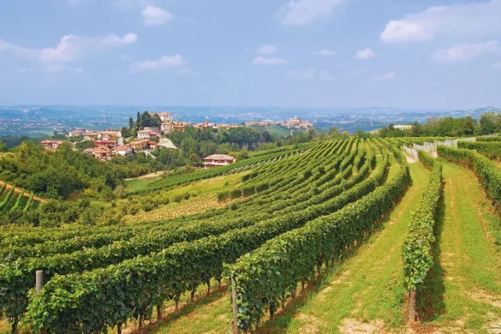 Das bekannte Weinanbaugebiet Langhè bei Asti im Piemont.