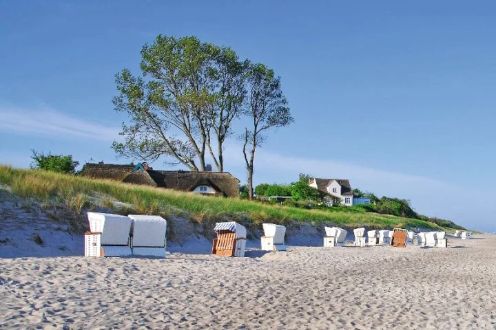 Auf Fischland-Darss.