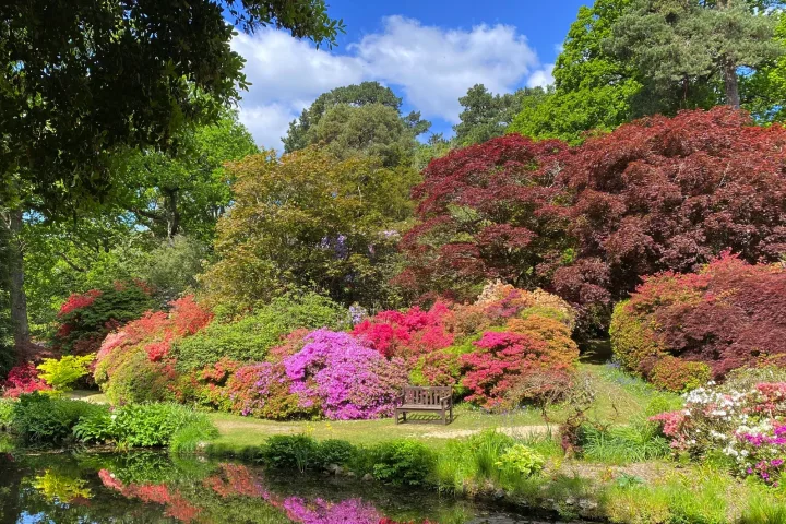 Wanderreise Isle of Wight und Südengland