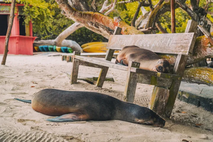 Wanderreise Peru – Galapagos
