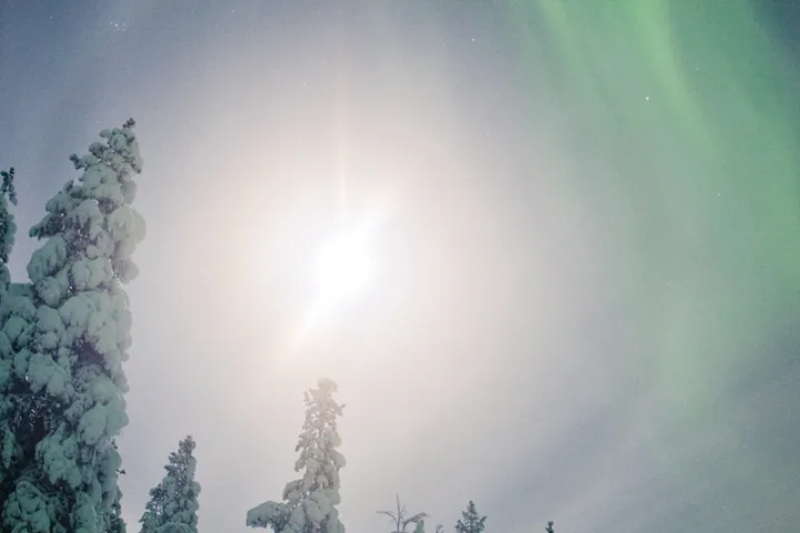 Schneeschuhreise arktisches Finnland