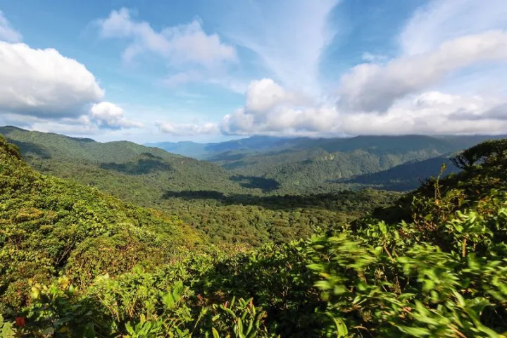 Monteverde, Costa Rica.