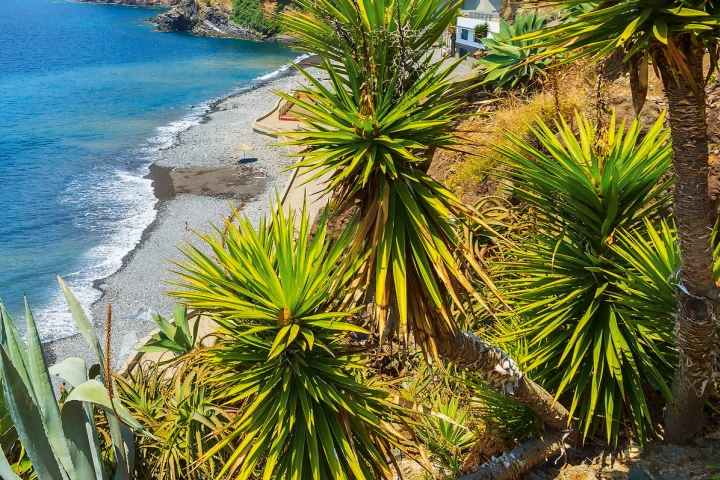 FIXES HEADER - Aussicht auf Camara de Lobos.
