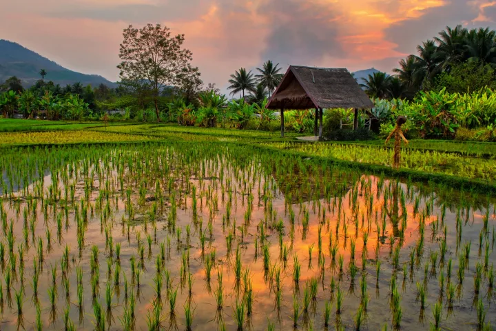 Wanderreise Laos – Unbekannte Perle am Mekong