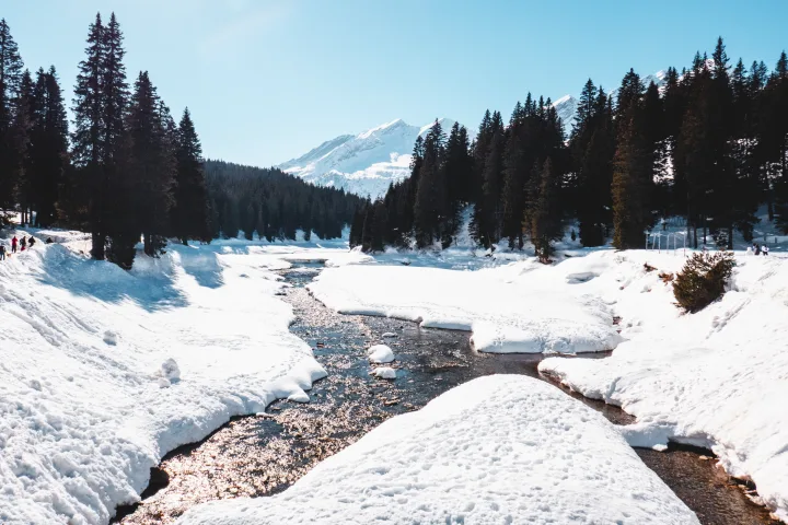 Schneeschuhwandern San Bernardino