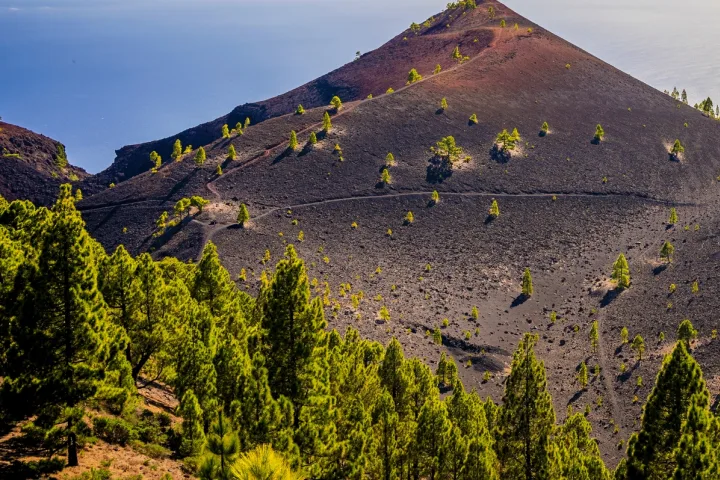 Wanderreise La Palma