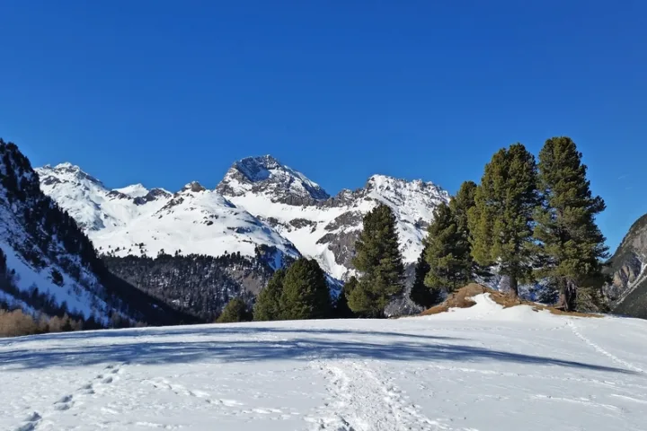 Schneeschuhtrail Palpuognasee bei Bergün.