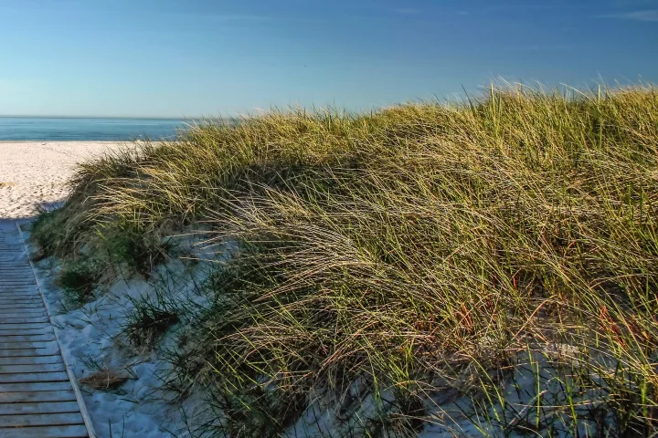 Weisser Sandstrand auf Bornholm.