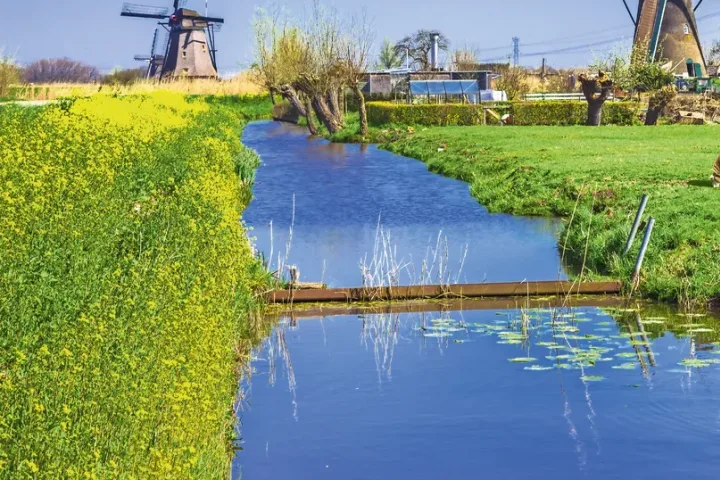 Kinderdijk.