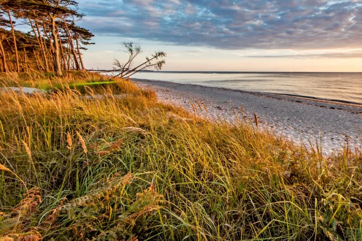 Strand an der Ostsee