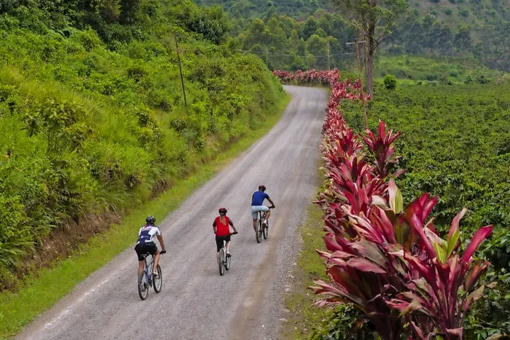 Gilt noch als Geheimtipp für Velofahrer!