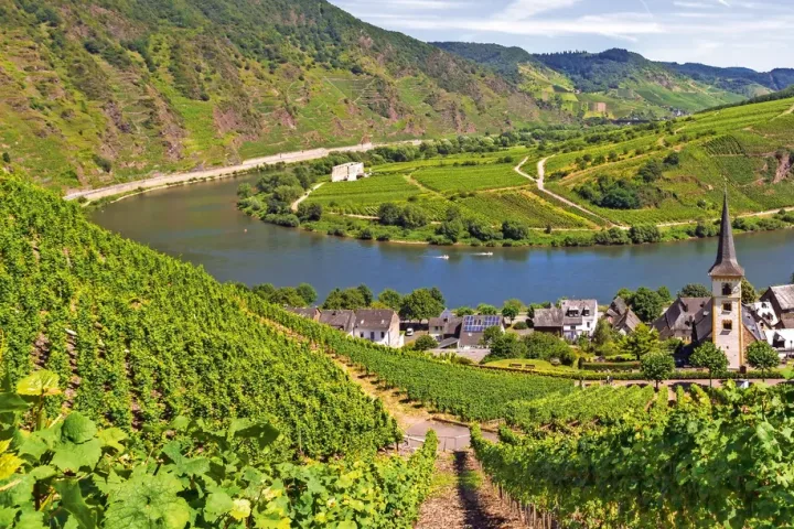 Weinberge und Dorf an einer Flussbiegung unter blauem Himmel.
