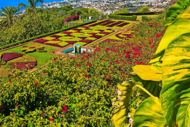 Wanderferien auf Madeira