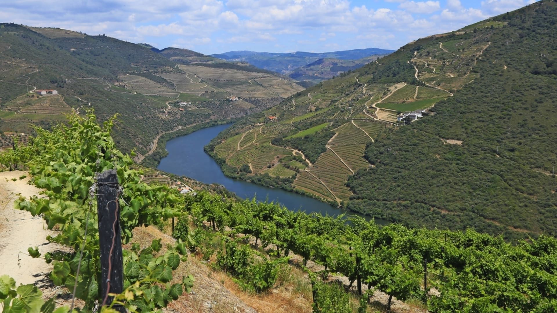 Dourotal - Weingebiet und Flusslandschaft im Herzen Portugals.