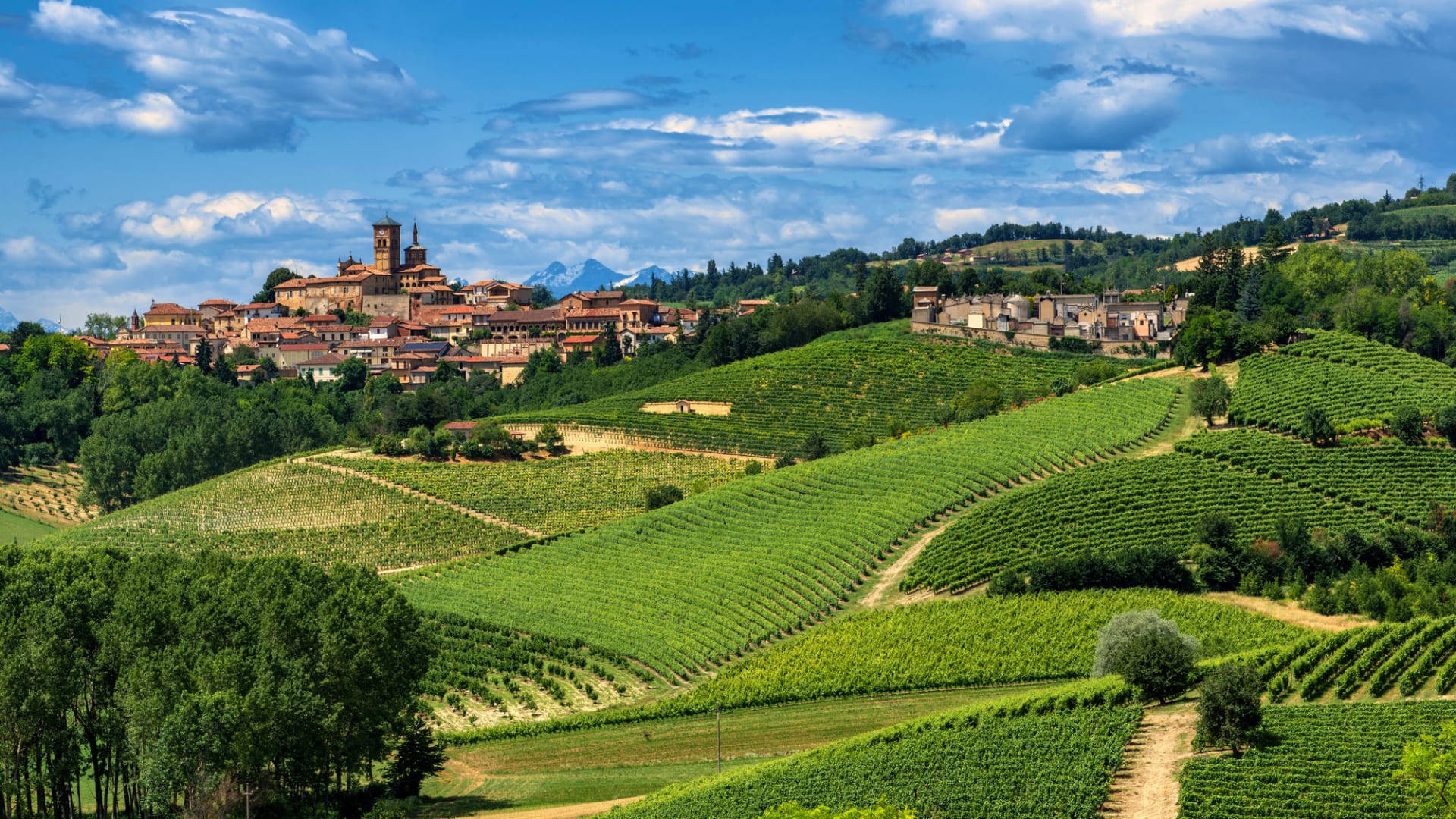 Italienische Landschaft mit Dorf und Weinbergen.