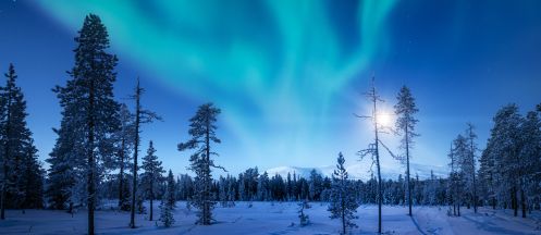 patologisk spurv Flytte Northern Lights Winter Wonderland Lapland Holidays | Inghams