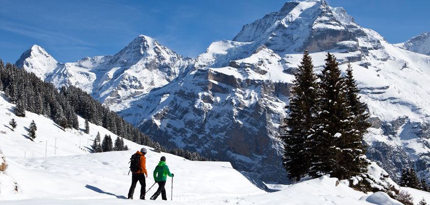 Switzerland Jungfrau Ski Region Schilthorn Winter Hiking 