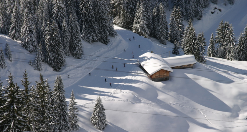 abricotine avoriaz abricotine avoriaz