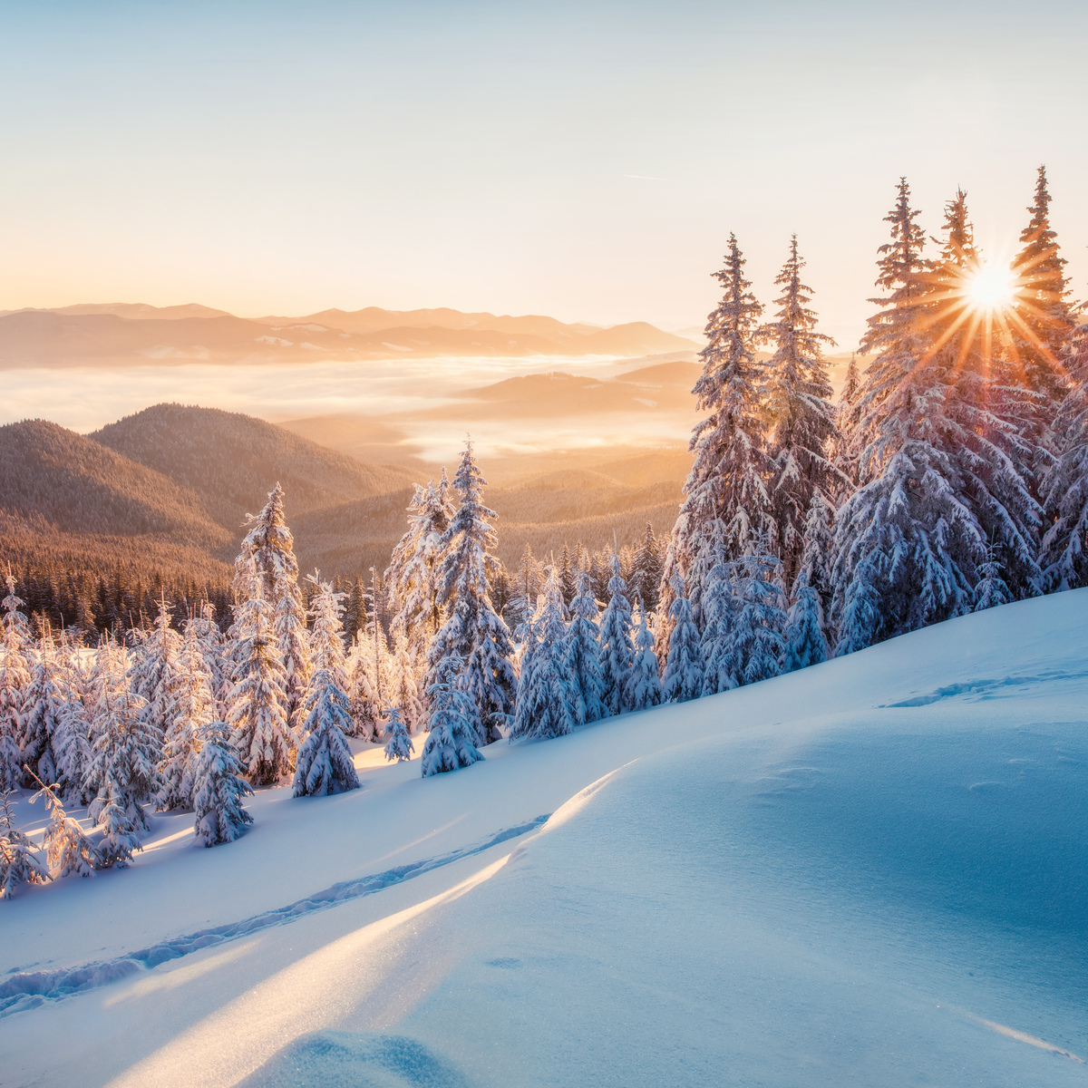 Lapland Excursion Offer 3 for 2 Inghams