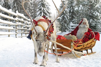 5 Reindeer Facts For Kids Santas Reindeer Santas Lapland