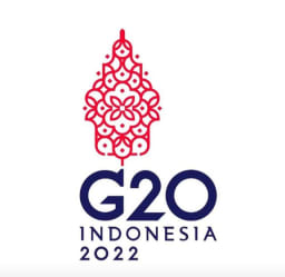 G20