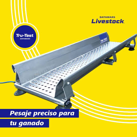 Plataforma de Aluminio para Pesaje de Animales