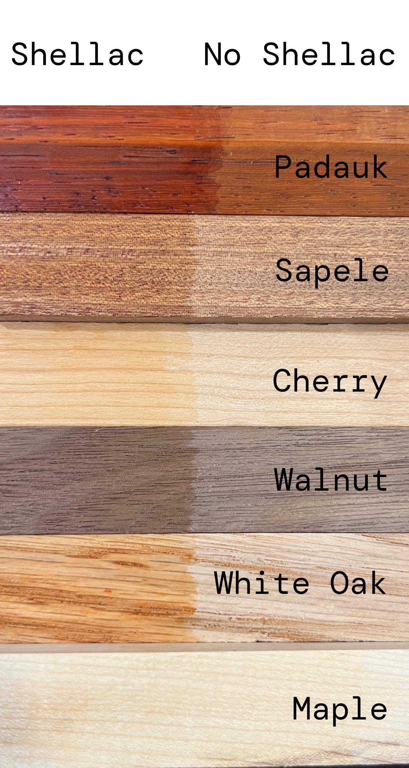 Clear shellac finish on different wood grains, including padauk, sapele, cherry, walnut, white oak, and maple.