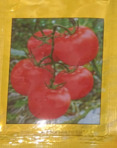 TOMATO SEEDS