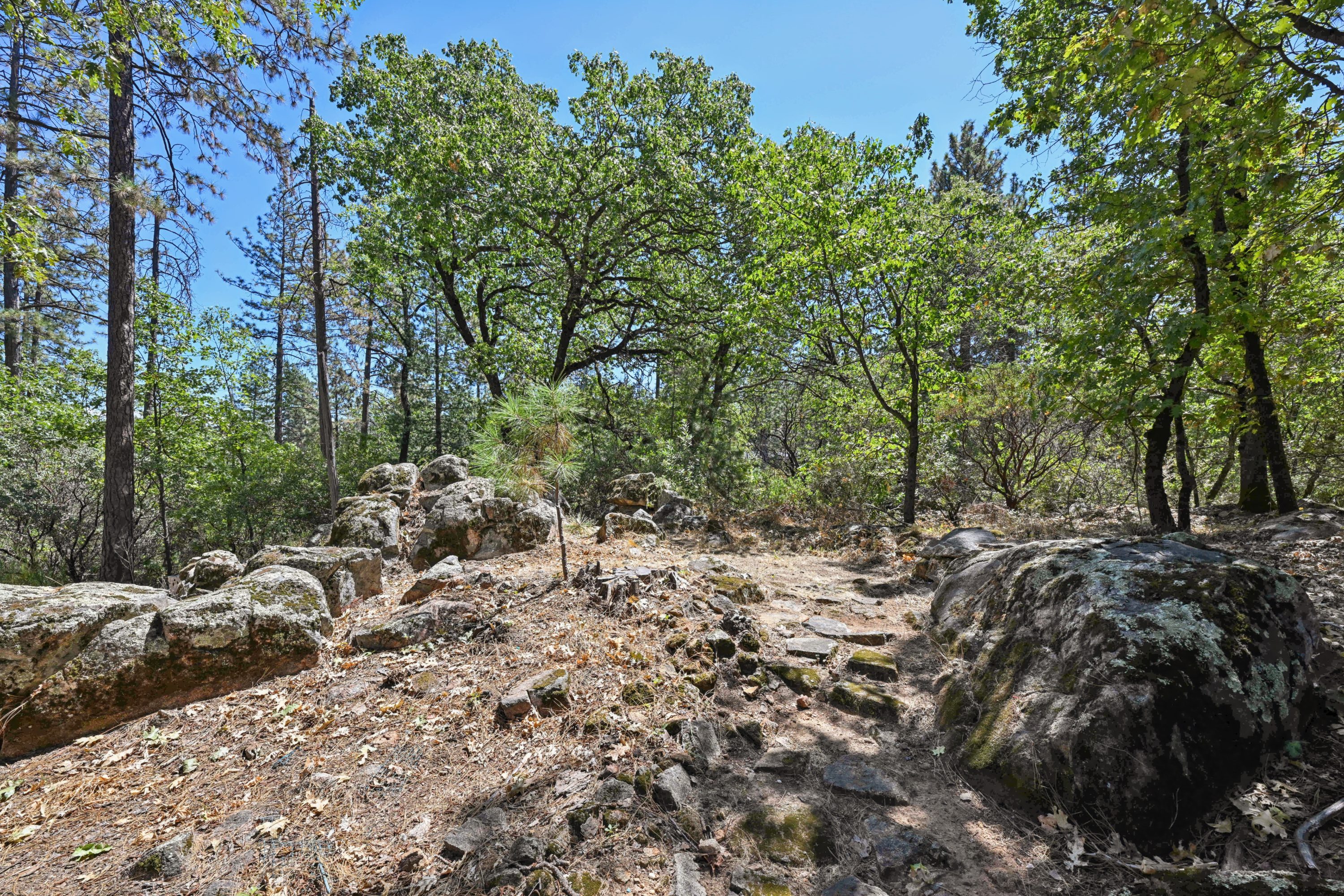 1710 East Sierra View Drive, Meadow Vista, CA 95722 property photo 11