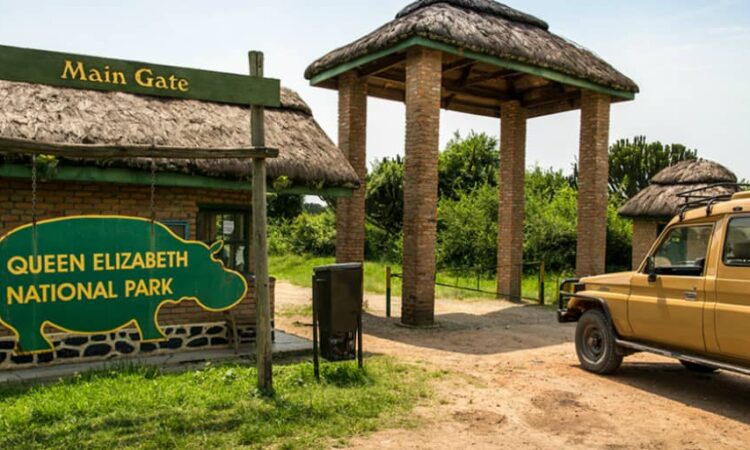 Queen Elizabeth National Park Safari