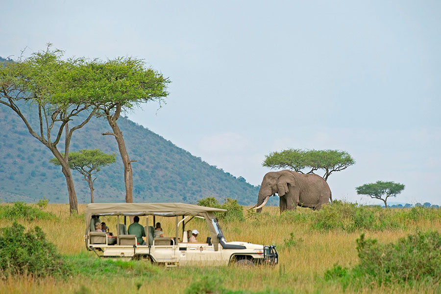 3 Days 2 Nights Maasai Mara Luxury Tour