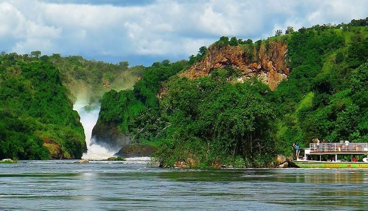 7 Days Uganda Wildlife & Gorilla Safari