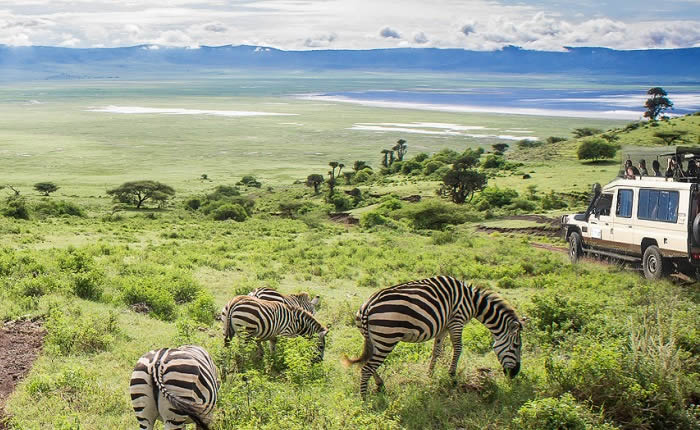 Serengeti & Ngorongoro Crater Safari