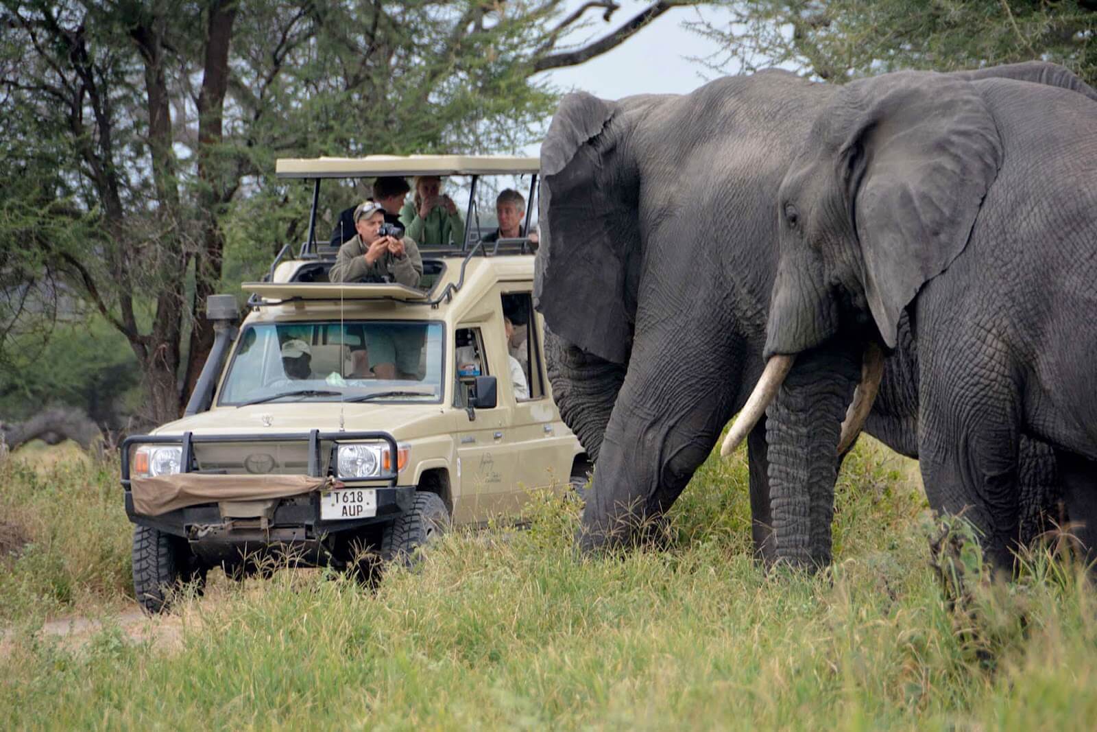 5 Days Northern Circuit Safari