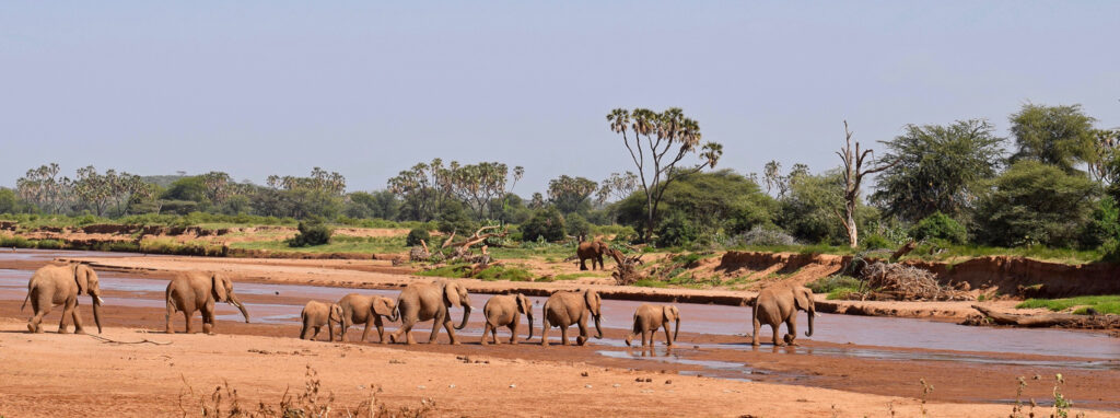 Northern to Southern Kenya Safari