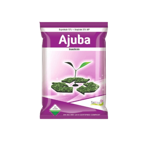 AJUBA