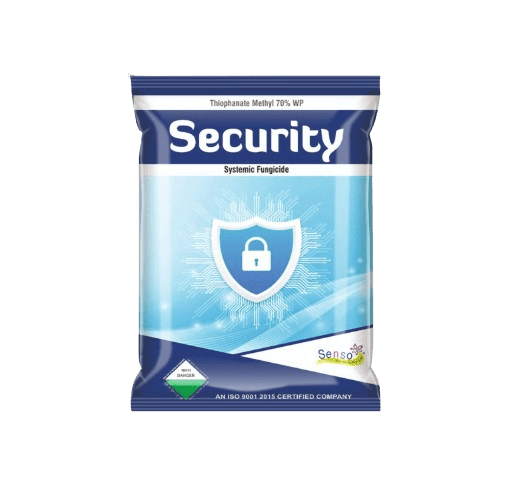 SECURITY