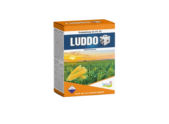 LUDDO
