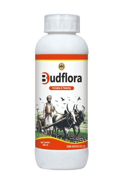 BUDFLORA